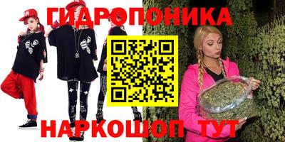 apvp Партизанск