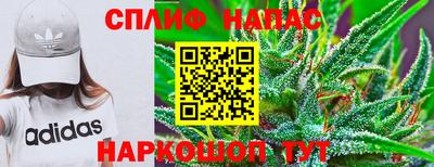 apvp Партизанск