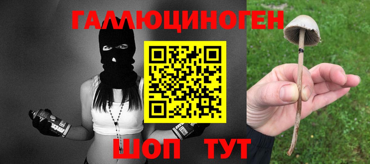 Уварово  Псилоцибиновые грибы Magic Shrooms  Галлюциногенные грибы Psilocybine cubensis  Вход с VPN 